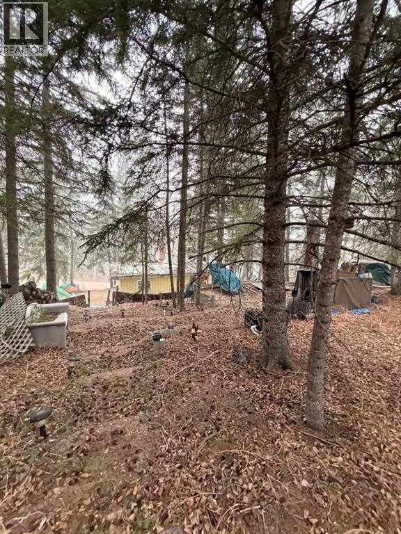 617 3 Street, Rural Cypress County, Alberta  T0J 1C0 - Photo 12 - A2296328