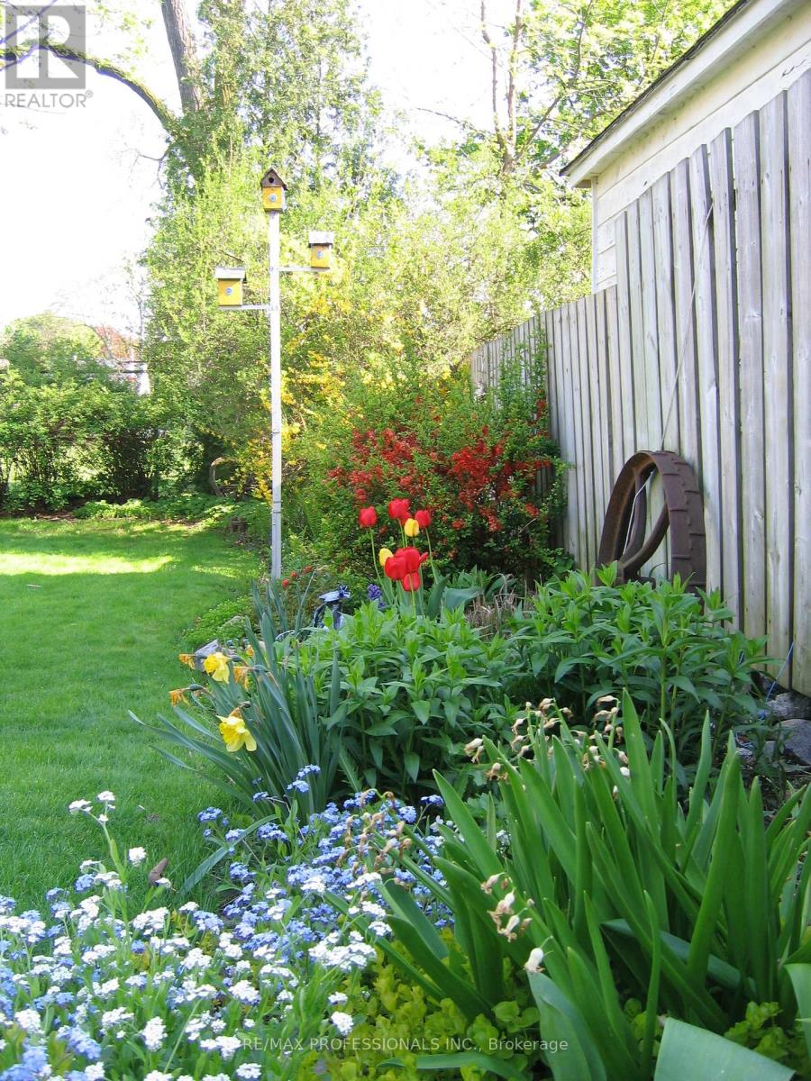 11 Mitcham Drive, Toronto, Ontario  M8W 2J6 - Photo 33 - W12997646