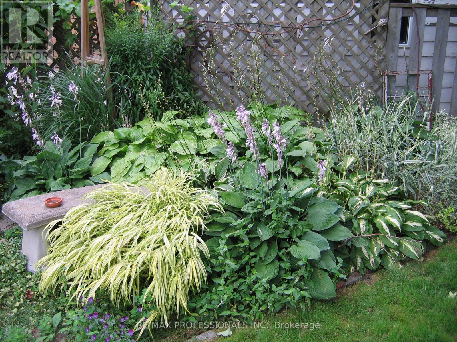 11 Mitcham Drive, Toronto, Ontario  M8W 2J6 - Photo 35 - W12997646