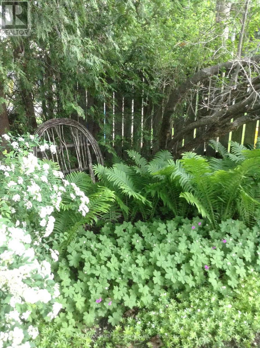 11 Mitcham Drive, Toronto, Ontario  M8W 2J6 - Photo 36 - W12997646