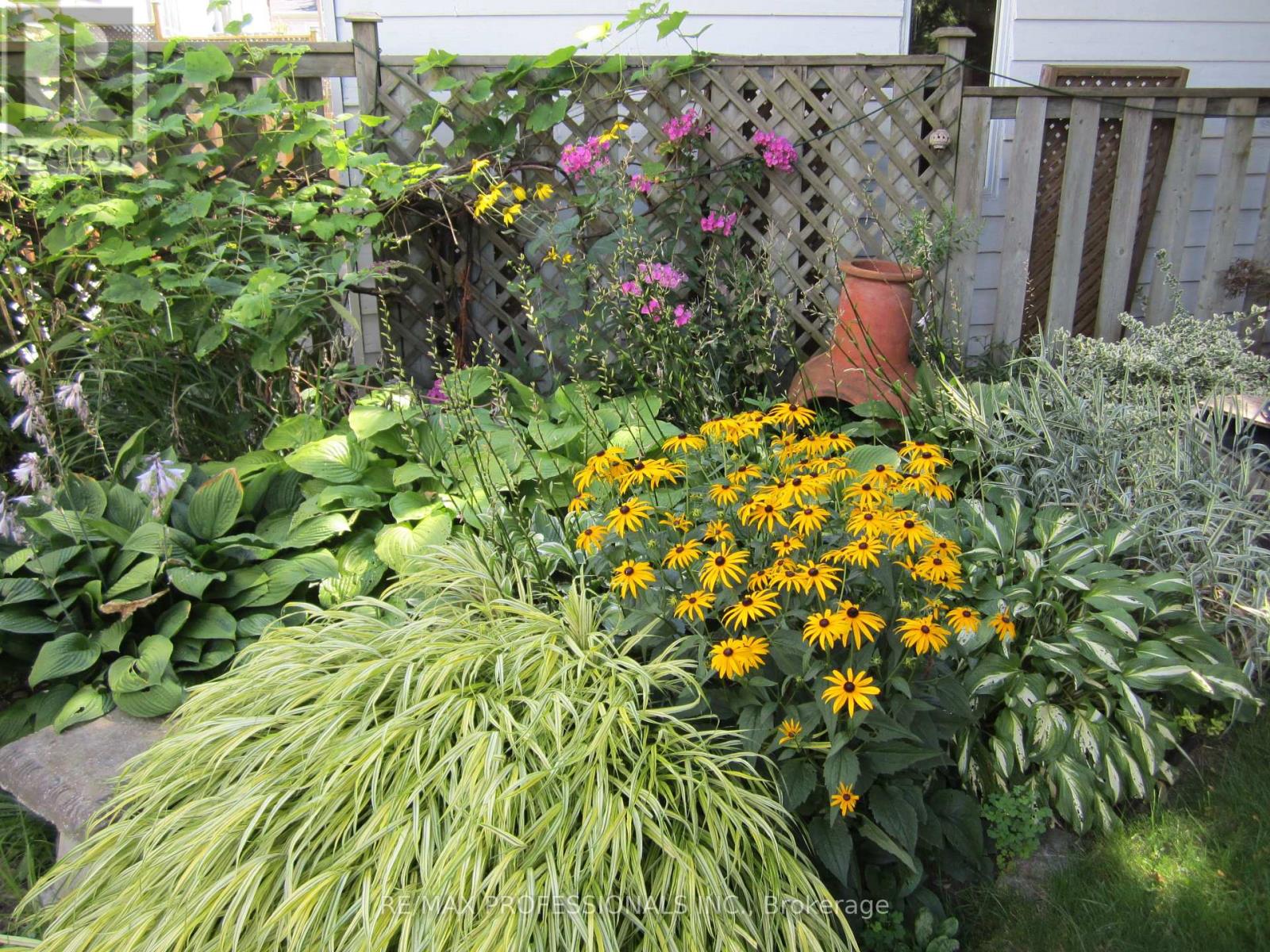 11 Mitcham Drive, Toronto, Ontario  M8W 2J6 - Photo 37 - W12997646