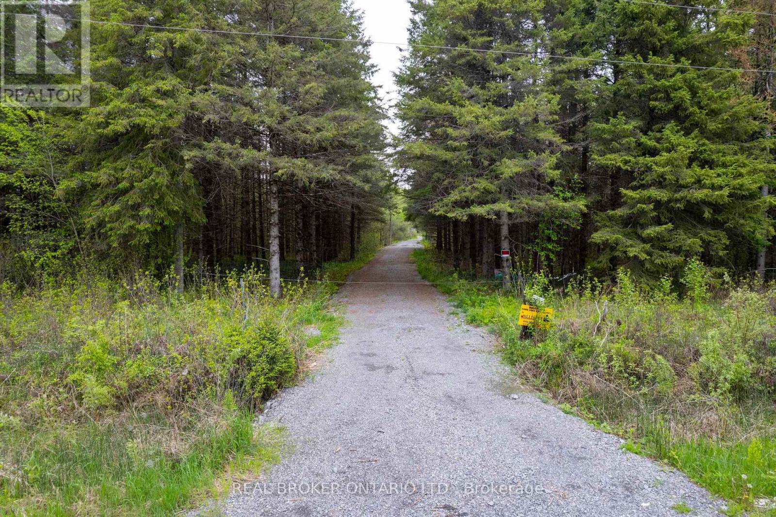 2635 Mcmullen Road, Ottawa, Ontario  K0G 1J0 - Photo 8 - X12997734