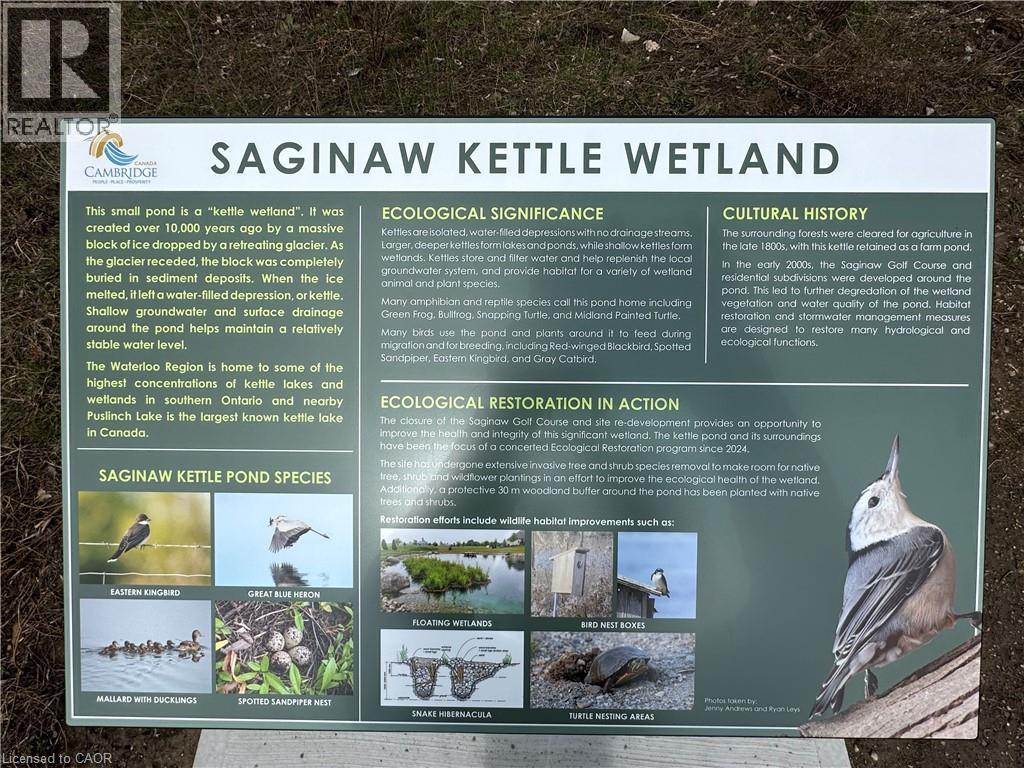 116 Essex Point Drive, Cambridge, Ontario  N1T 1W6 - Photo 47 - 40818152