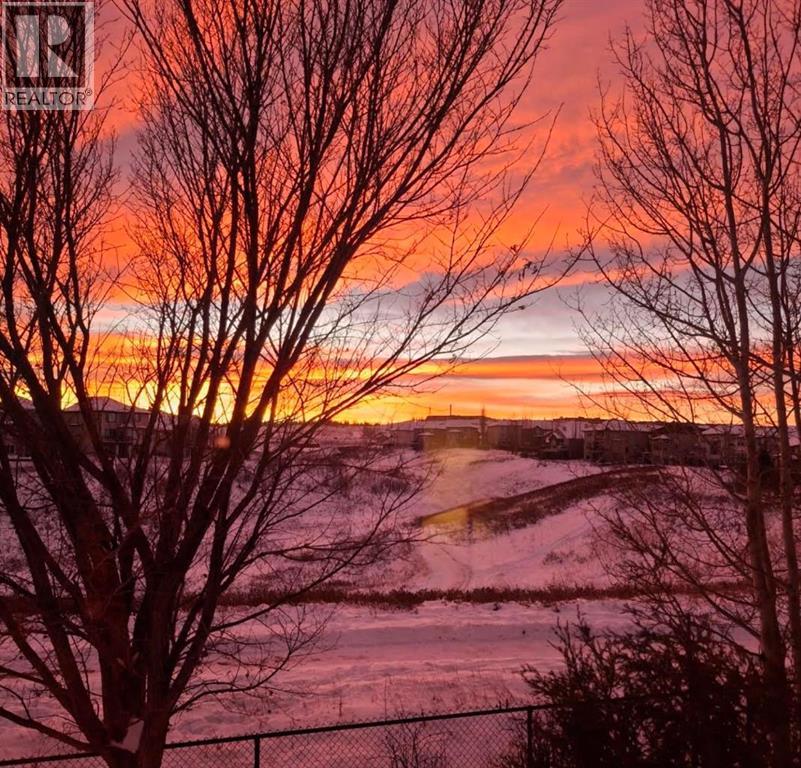 103 Kincora View NW, Calgary, Alberta  T3R 1M3 - Photo 43 - A2299268