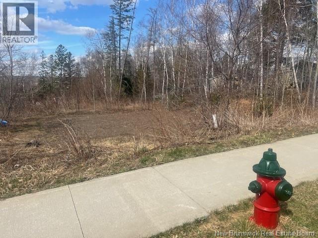 37 Whisperwood Drive, Fredericton, New Brunswick  E3C 0J8 - Photo 3 - NB137194