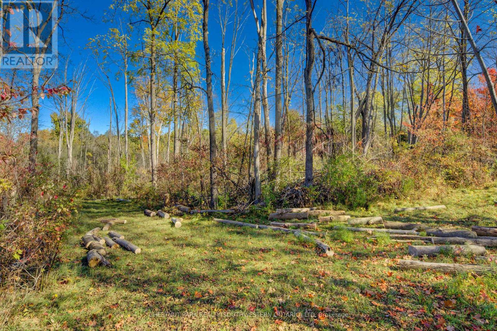 705 Eramosa Road, Guelph, Ontario  N1E 5Z1 - Photo 9 - X12997892