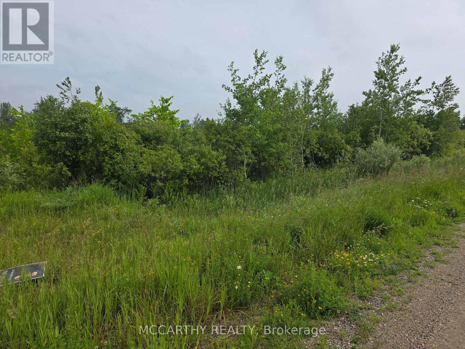 201 Con 2 Swtsr, Southgate 26 Road, Southgate, Ontario  N0C 1B0 - Photo 10 - X12998054