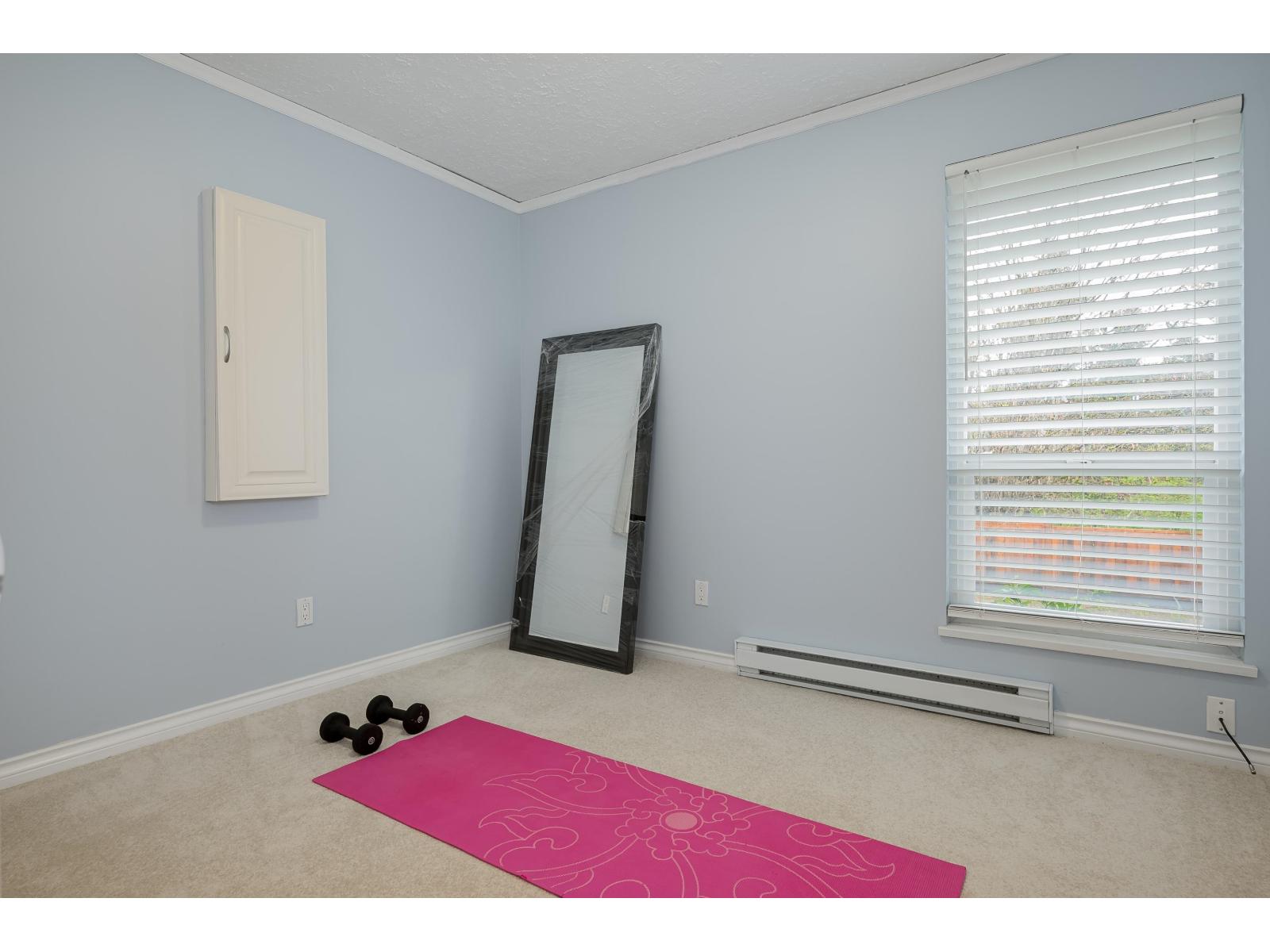 9276 Greer Street, Langley, British Columbia  V1M 2S5 - Photo 23 - R3111237