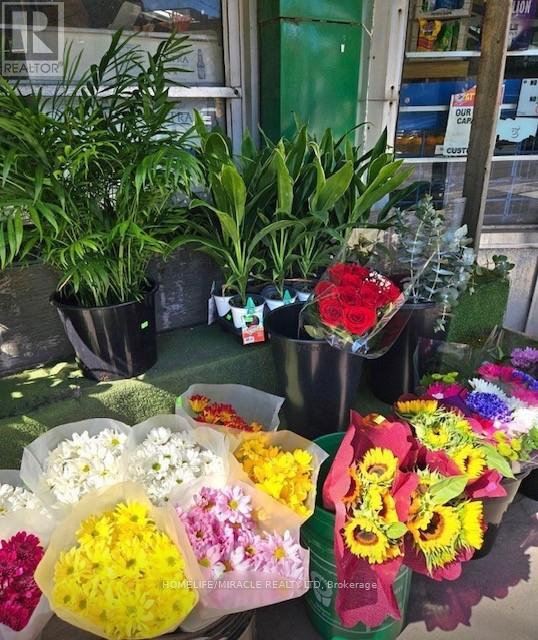 1364 Bathurst Street, Toronto, Ontario  M5R 3H7 - Photo 9 - C12909202