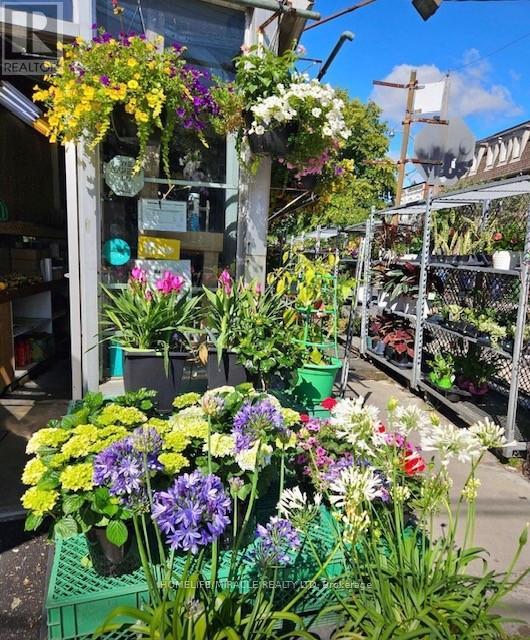 1364 Bathurst Street, Toronto, Ontario  M5R 3H7 - Photo 5 - C12909202