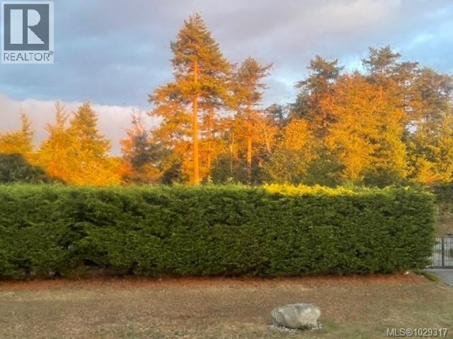 1167 Tara Rd, Comox, British Columbia  V9M 3T5 - Photo 76 - 1029317