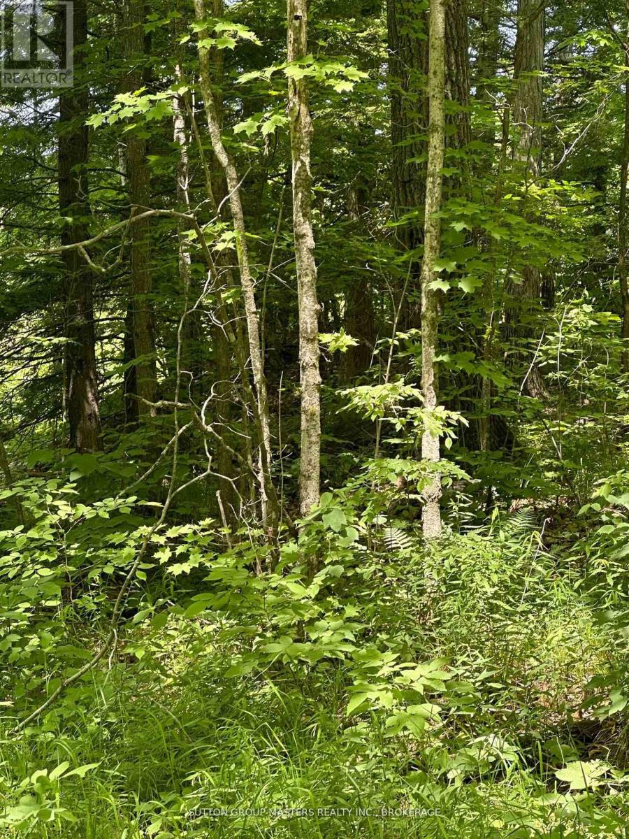 0 Maple Grove Lane E, Frontenac, Ontario  K0H 1V0 - Photo 2 - X12998364