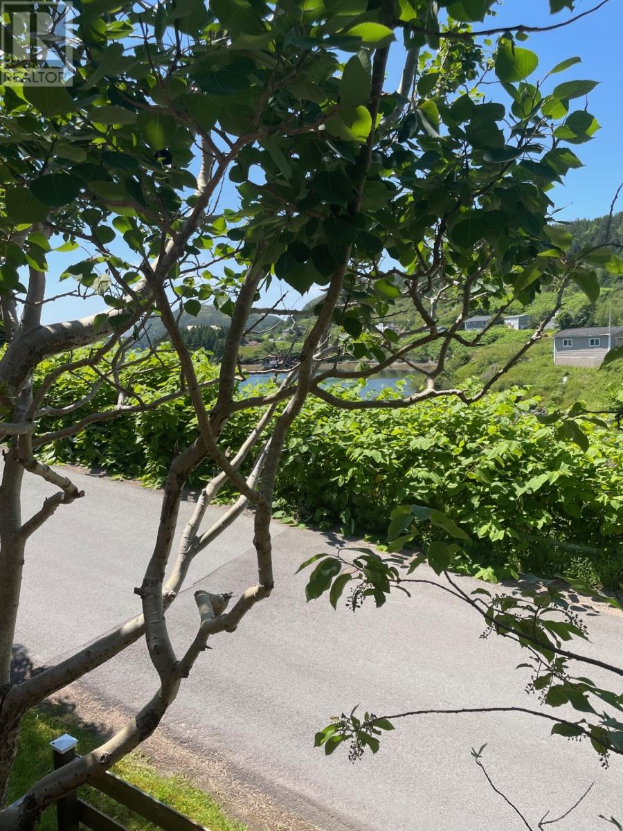 11-15 Southside Road, Port Aux Bras, Newfoundland & Labrador  A0E 1E0 - Photo 14 - 1271795