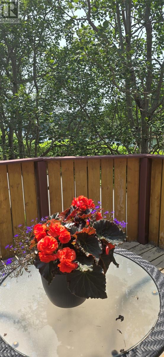 11-15 Southside Road, Port Aux Bras, Newfoundland & Labrador  A0E 1E0 - Photo 10 - 1271795