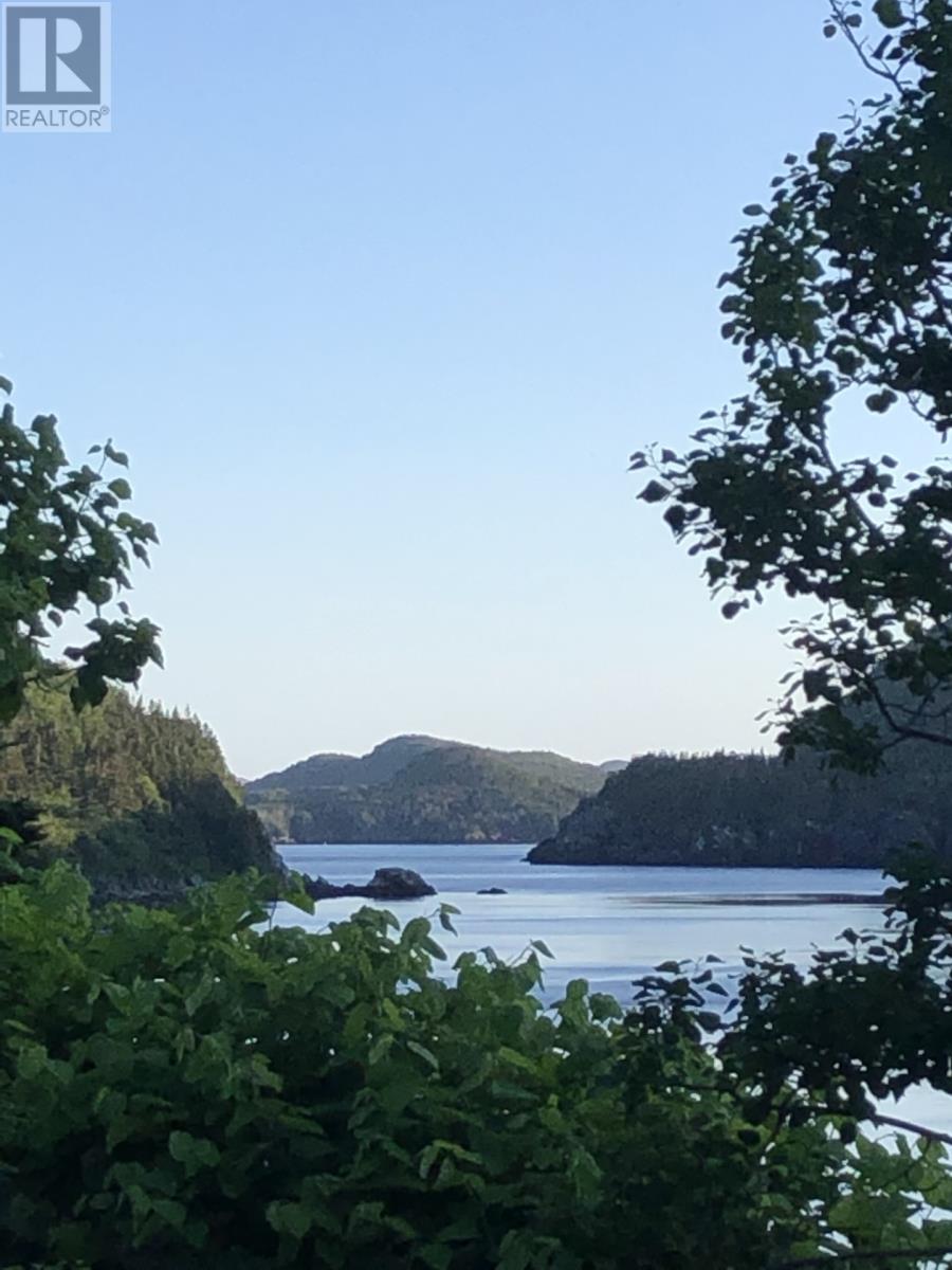 11-15 Southside Road, Port Aux Bras, Newfoundland & Labrador  A0E 1E0 - Photo 6 - 1271795