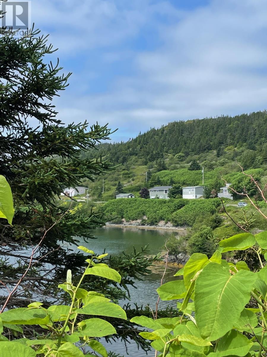 11-15 Southside Road, Port Aux Bras, Newfoundland & Labrador  A0E 1E0 - Photo 4 - 1271795