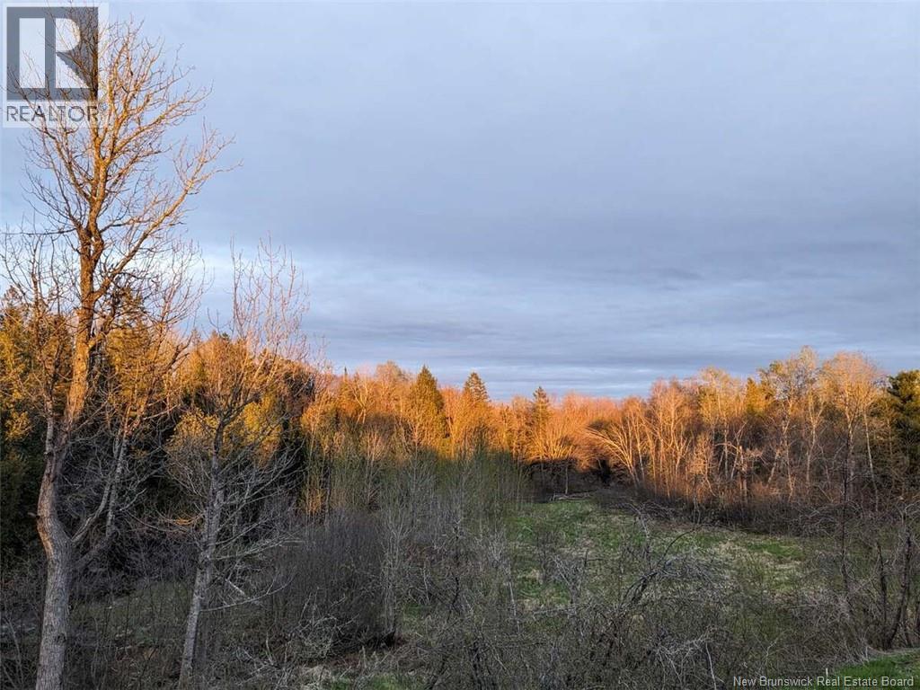 57 Phillips Road, Charters Settlement, New Brunswick  E3C 1T7 - Photo 35 - NB135288