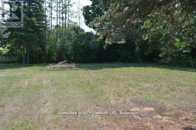 391 Raines Street, Georgina, Ontario  L4P 3C8 - Photo 28 - N12998458