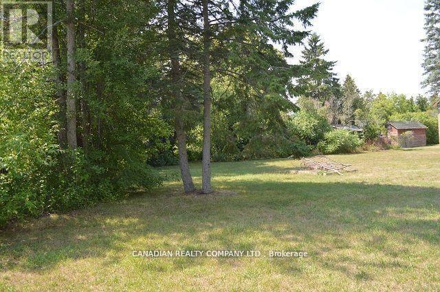 391 Raines Street, Georgina, Ontario  L4P 3C8 - Photo 29 - N12998458