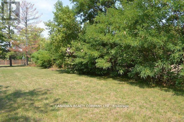 391 Raines Street, Georgina, Ontario  L4P 3C8 - Photo 31 - N12998458