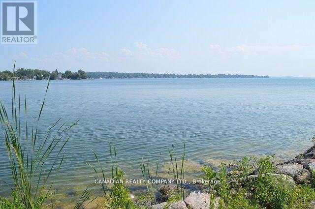 391 Raines Street, Georgina, Ontario  L4P 3C8 - Photo 36 - N12998458