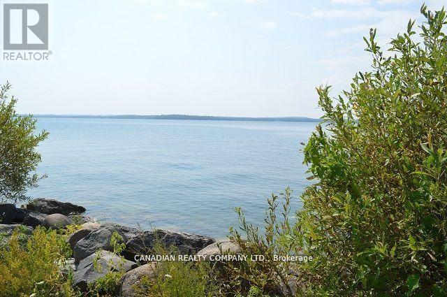 391 Raines Street, Georgina, Ontario  L4P 3C8 - Photo 37 - N12998458