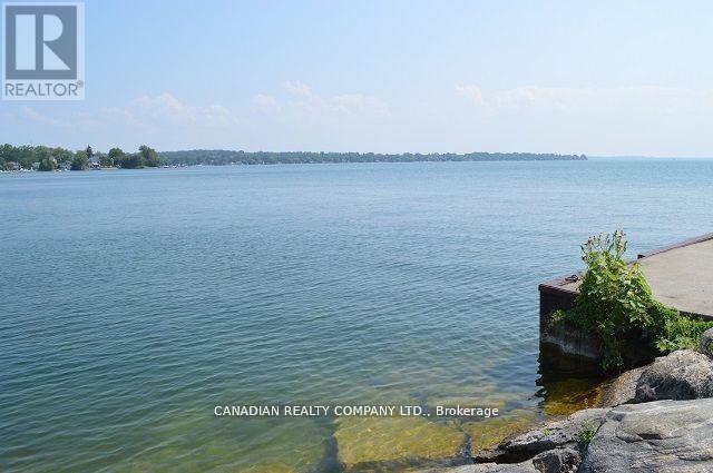 391 Raines Street, Georgina, Ontario  L4P 3C8 - Photo 39 - N12998458