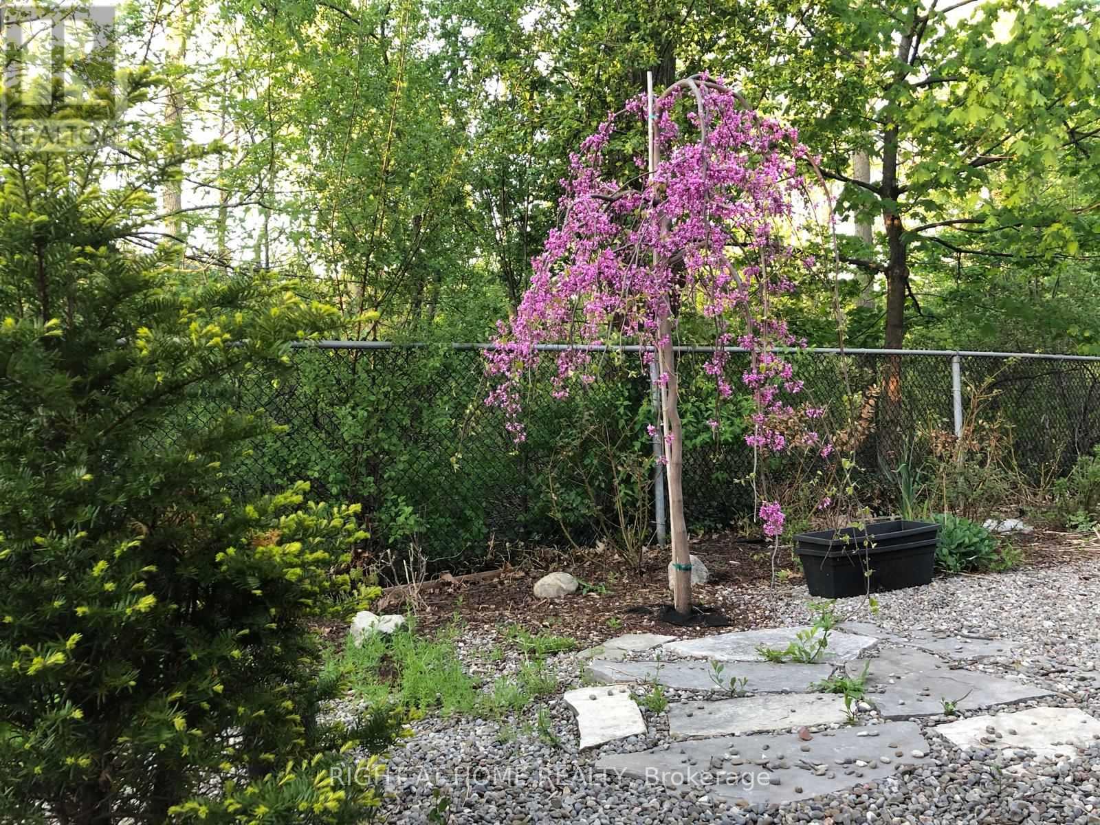 Lower - 1205 Shagbark Crescent, Mississauga, Ontario  L5C 3N6 - Photo 16 - W12998526