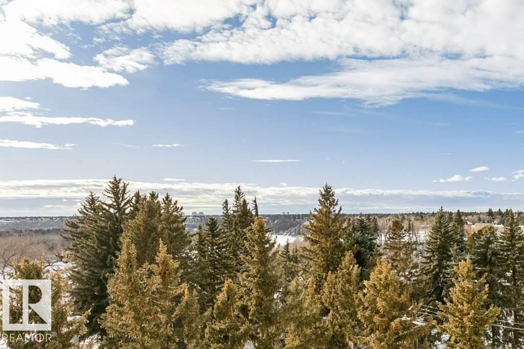 #504 10108 125 St Nw, Edmonton, Alberta  T5N 4B6 - Photo 5 - E4482152