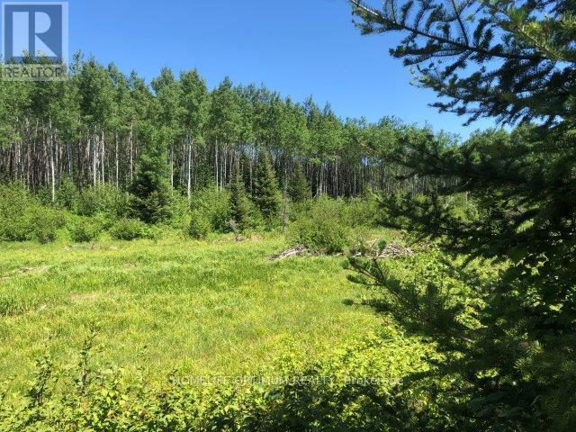 38.24 ACRES IN OGDEN TOWNSHIP - PCL 24640, Timmins, Ontario