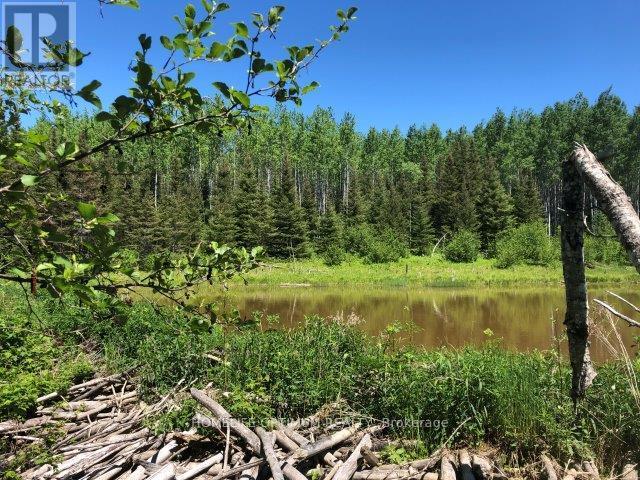 38.24 Acres In Ogden Township Pcl 24640, Timmins, Ontario  P4N 7C2 - Photo 8 - T12647486
