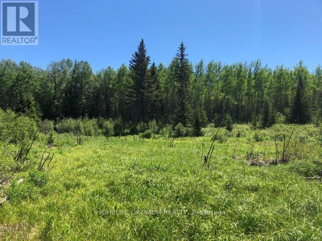 38.24 Acres In Ogden Township Pcl 24640, Timmins, Ontario  P4N 7C2 - Photo 5 - T12647486