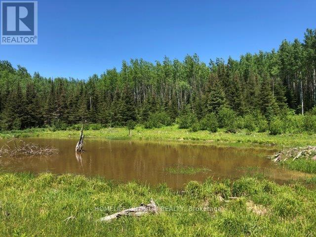 38.24 Acres In Ogden Township Pcl 24640, Timmins, Ontario  P4N 7C2 - Photo 3 - T12647486