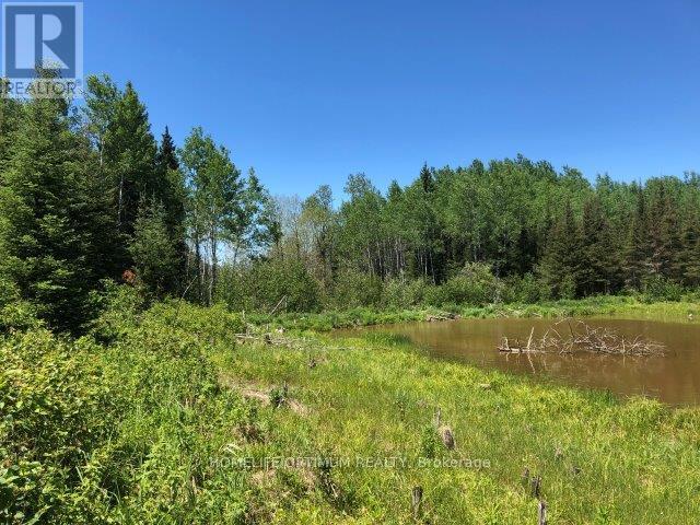 38.24 Acres In Ogden Township - Pcl 24640, Timmins, Ontario  P4N 7C2 - Photo 2 - T12647496