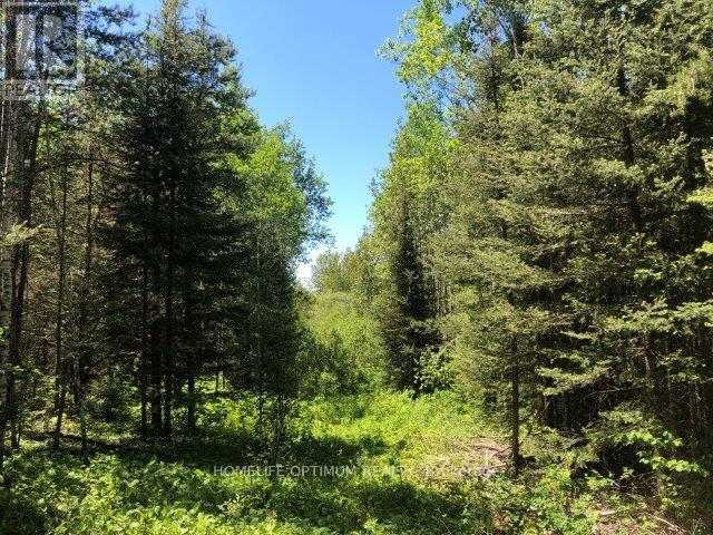 38.24 Acres In Ogden Township - Pcl 24640, Timmins, Ontario  P4N 7C2 - Photo 8 - T12647496