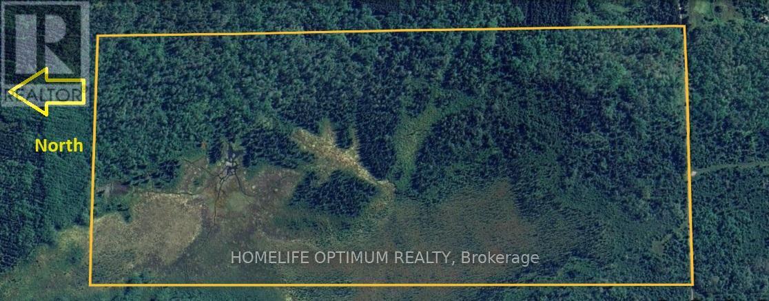 154 Acres In Glackmeyer Township - Pcl 2372, Cochrane, Ontario  P0L 1C0 - Photo 4 - T12647500