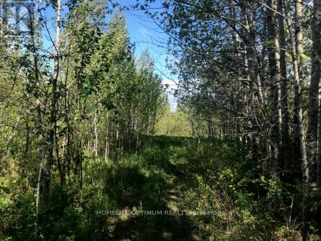 75.25 Acres In Pyne Township - Pcl 4952, Cochrane, Ontario  P0K 1G0 - Photo 5 - T12648382