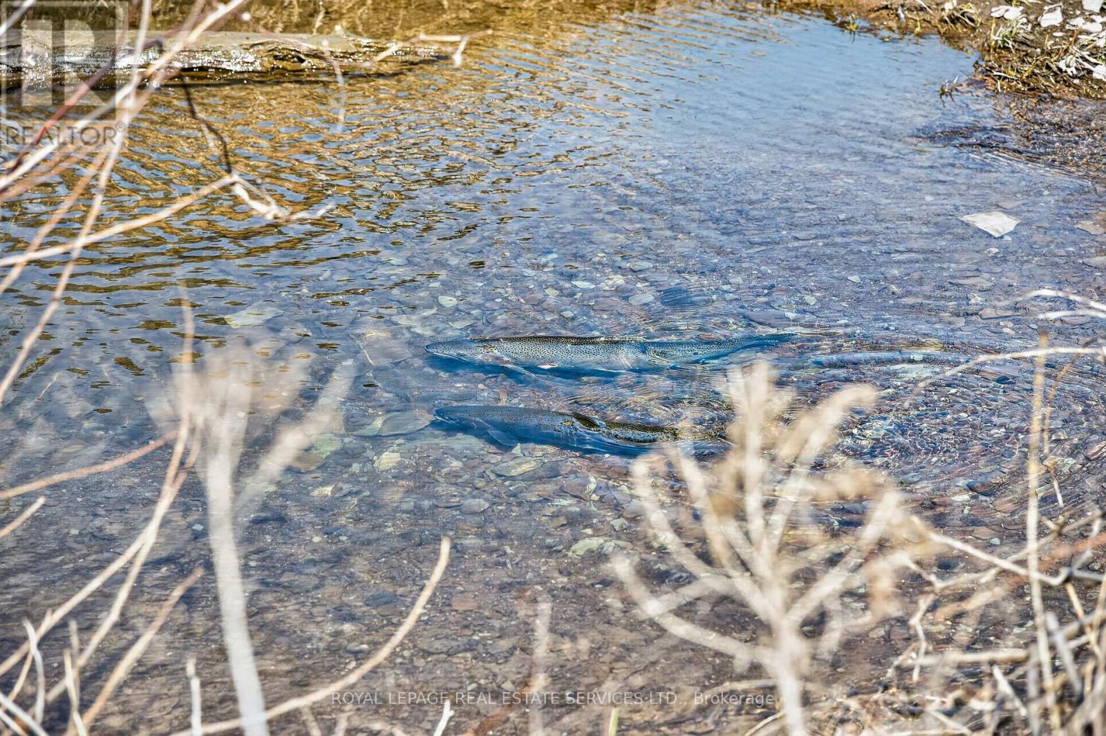 4 - 5090 Fairview Street, Burlington, Ontario  L7L 7H5 - Photo 26 - W12815680