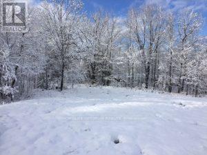 50 Acres In Muskoka North Of Bala Pcl 31045, Muskoka Lakes, Ontario  P0C 1A0 - Photo 22 - X12659084