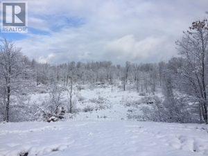 50 Acres In Muskoka North Of Bala - Pcl 31045, Muskoka Lakes, Ontario  P0C 1A0 - Photo 23 - X12659086