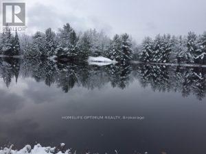 50 Acres In Muskoka North Of Bala - Pcl 31045, Muskoka Lakes, Ontario  P0C 1A0 - Photo 27 - X12659086