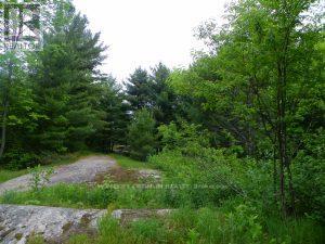 50 Acres In Muskoka North Of Bala Pcl 31045, Muskoka Lakes, Ontario  P0C 1A0 - Photo 8 - X12659084