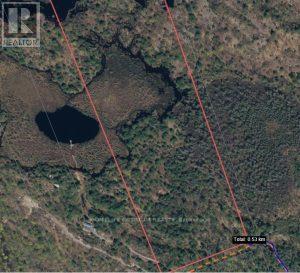 50 Acres In Muskoka North Of Bala - Pcl 31045, Muskoka Lakes, Ontario  P0C 1A0 - Photo 18 - X12659086