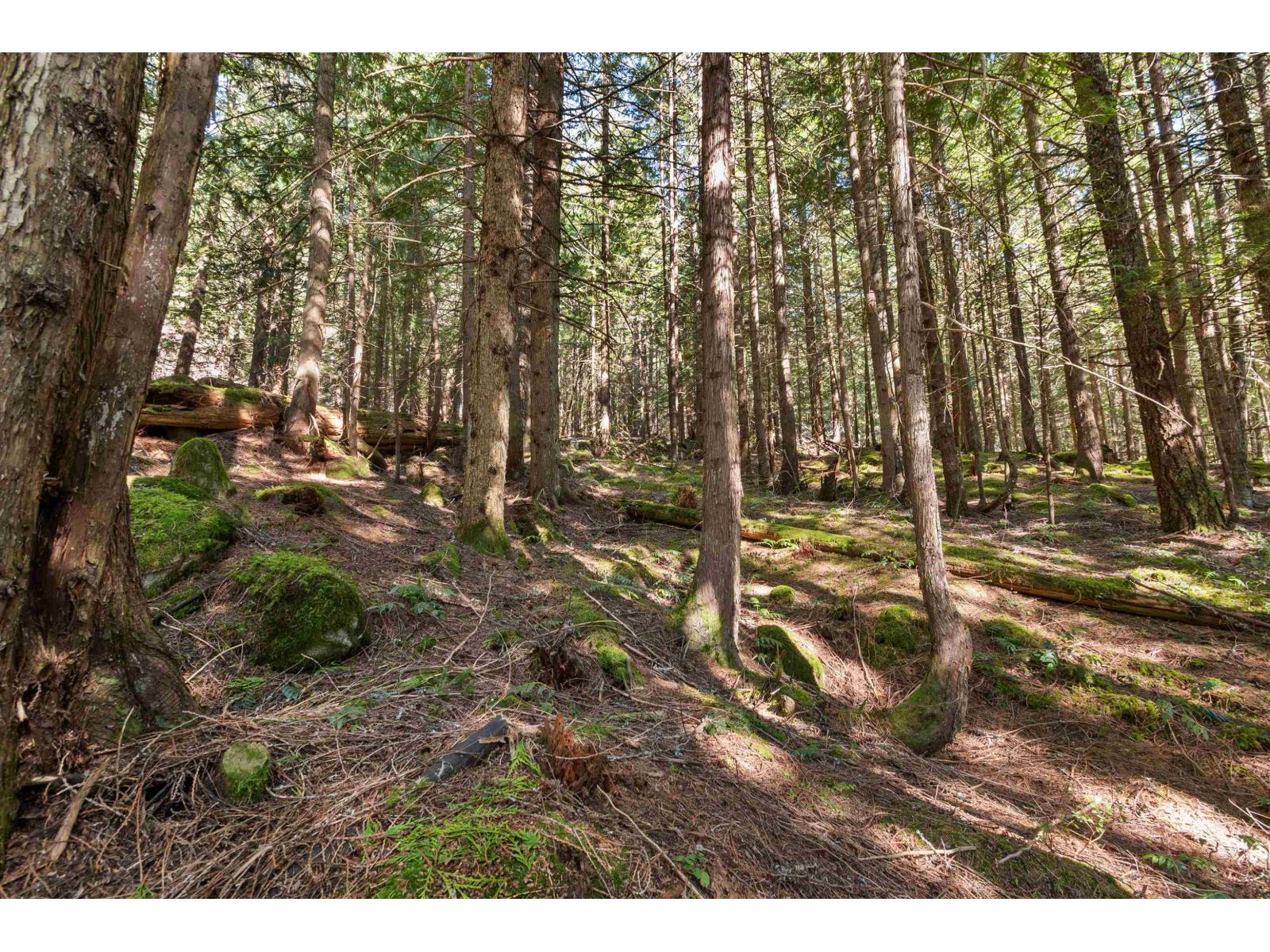 H68 Strawberry Lane, Sunshine Valley, Sunshine Valley, British Columbia  V0X 1L5 - Photo 23 - R3111156