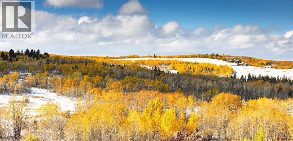 43 Red Willow Crescent W, Rural Foothills County, Alberta  T1S 3J7 - Photo 43 - A2301672