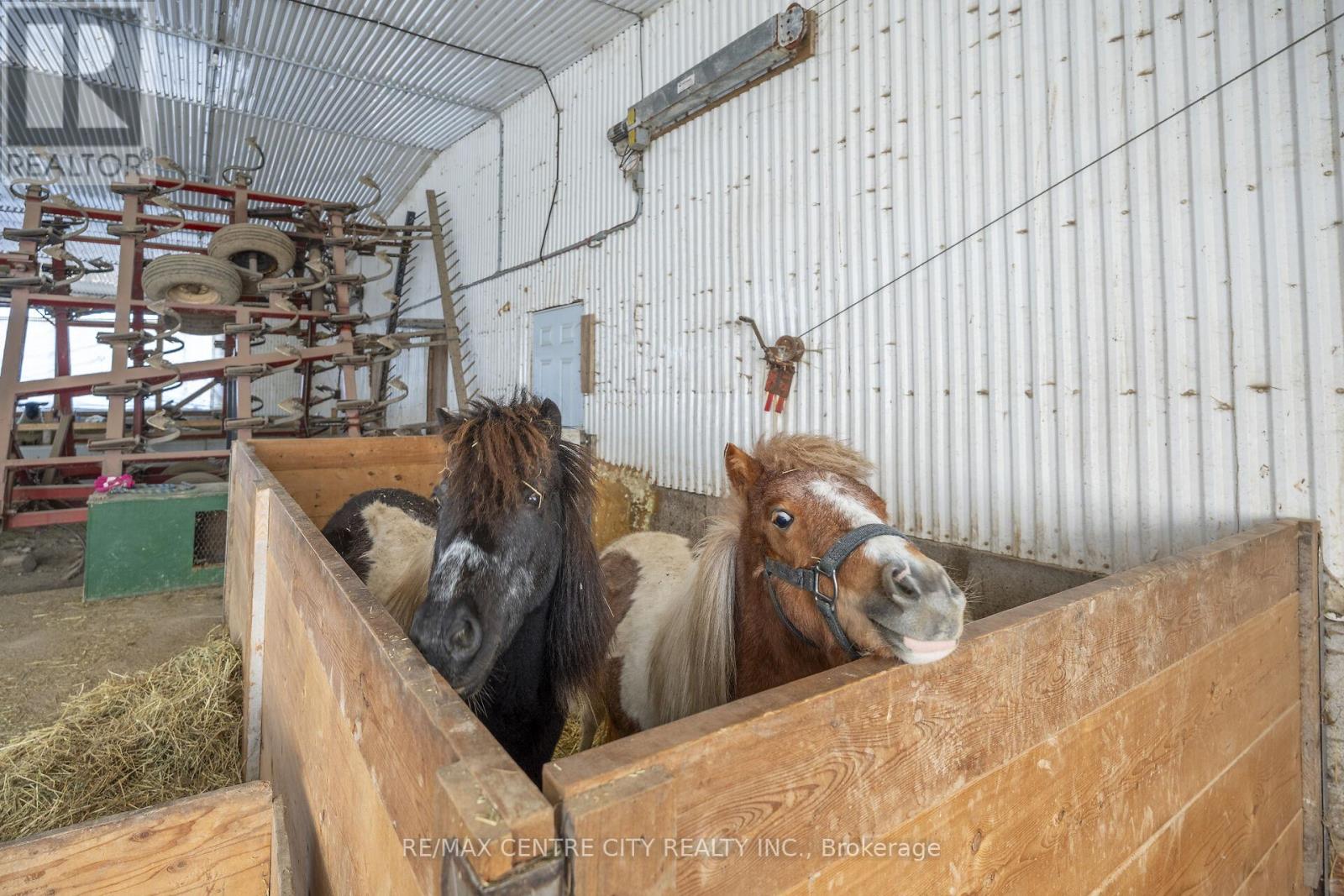 737 Conc 12e Road, South Bruce, Ontario  N0G 2J0 - Photo 20 - X12998796