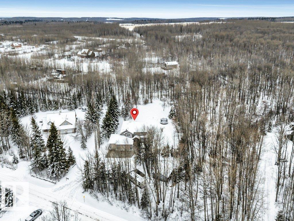 111 Crystal Springs Drive, Rural Wetaskiwin County, Alberta  T0C 2V0 - Photo 47 - E4478124