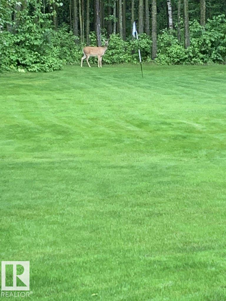 111 Crystal Springs Drive, Rural Wetaskiwin County, Alberta  T0C 2V0 - Photo 60 - E4478124