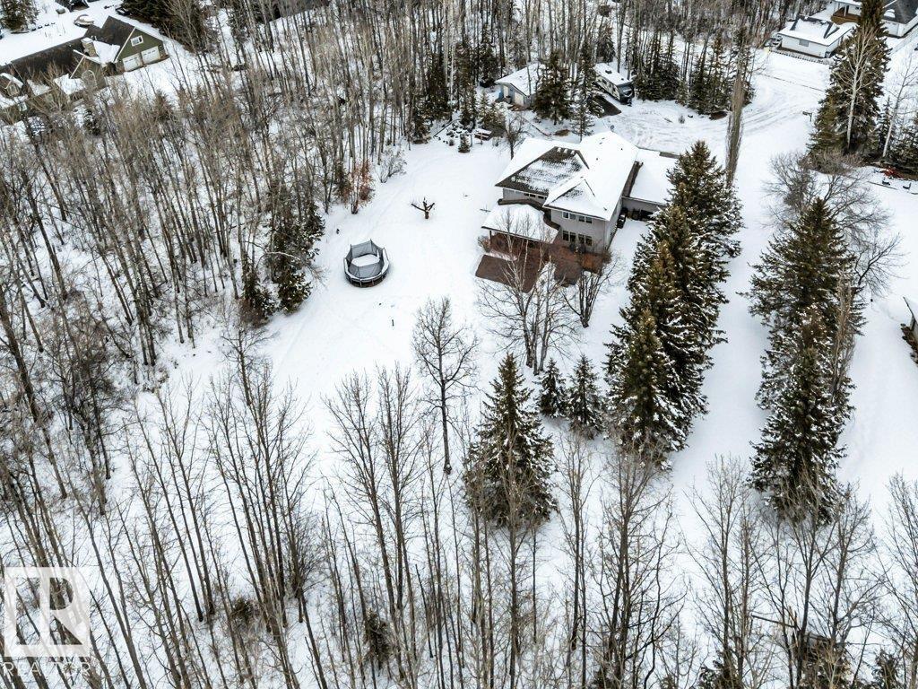 111 Crystal Springs Drive, Rural Wetaskiwin County, Alberta  T0C 2V0 - Photo 45 - E4478124