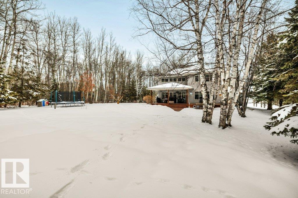 111 Crystal Springs Drive, Rural Wetaskiwin County, Alberta  T0C 2V0 - Photo 37 - E4478124